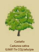 Castaño -C02