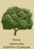Encina -C02