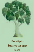 Eucalipto -C02